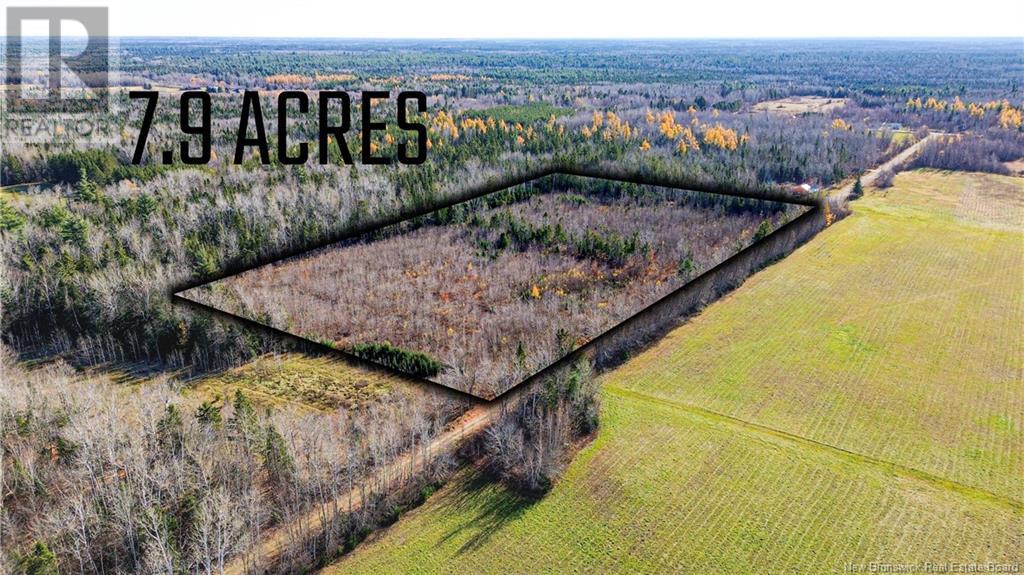100 Barrieau Road, Acadieville, New Brunswick  E4Y 1P5 - Photo 4 - NB116086
