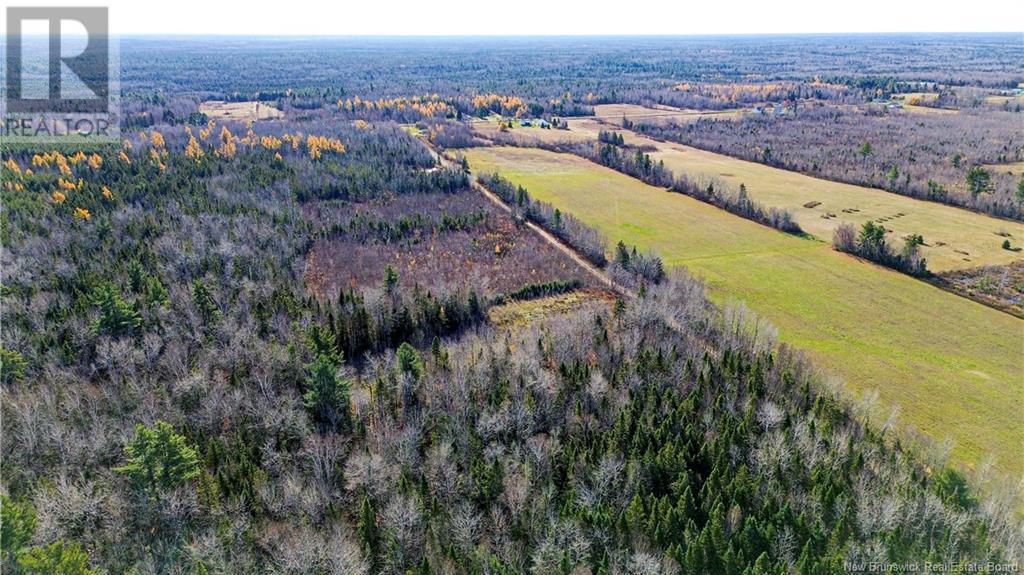 100 Barrieau Road, Acadieville, New Brunswick  E4Y 1P5 - Photo 5 - NB116086