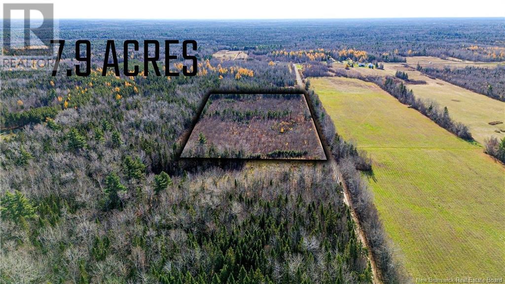 100 Barrieau Road, Acadieville, New Brunswick  E4Y 1P5 - Photo 2 - NB116086