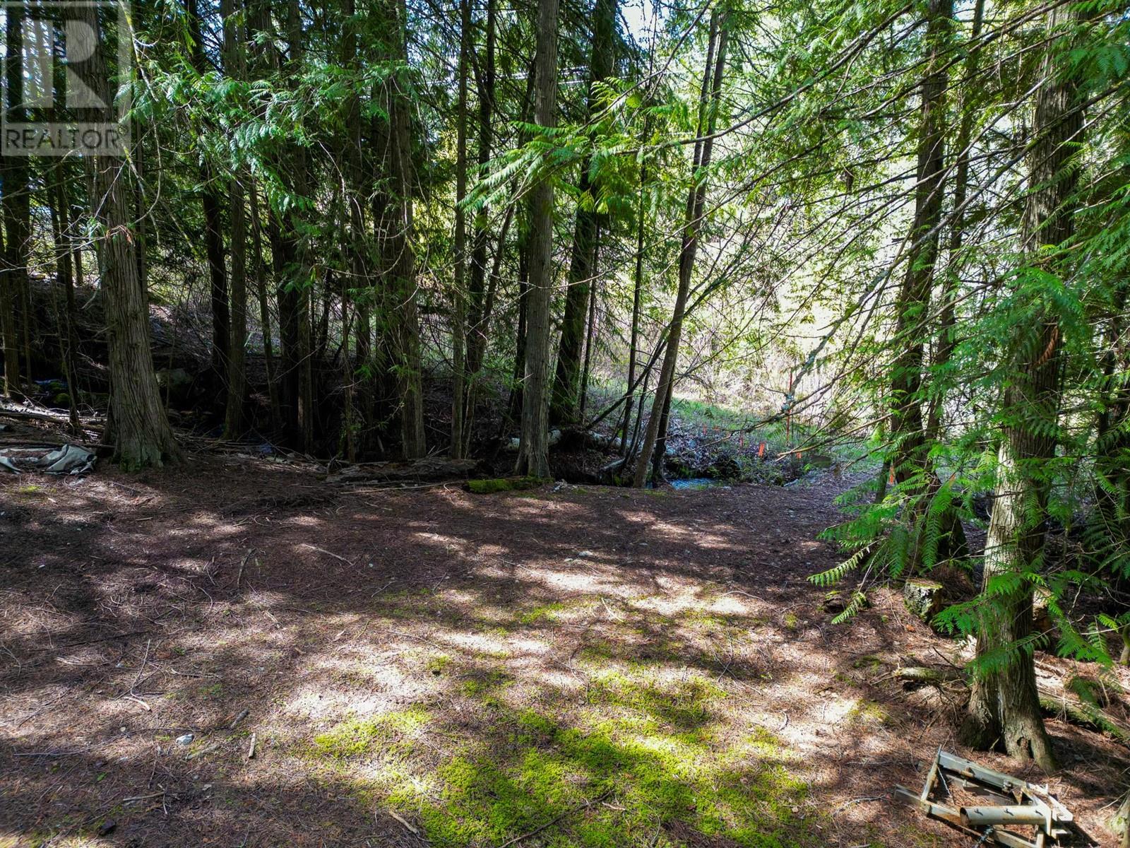 11110 3a Highway, Sanca, British Columbia  V0B 1A2 - Photo 47 - 10342560