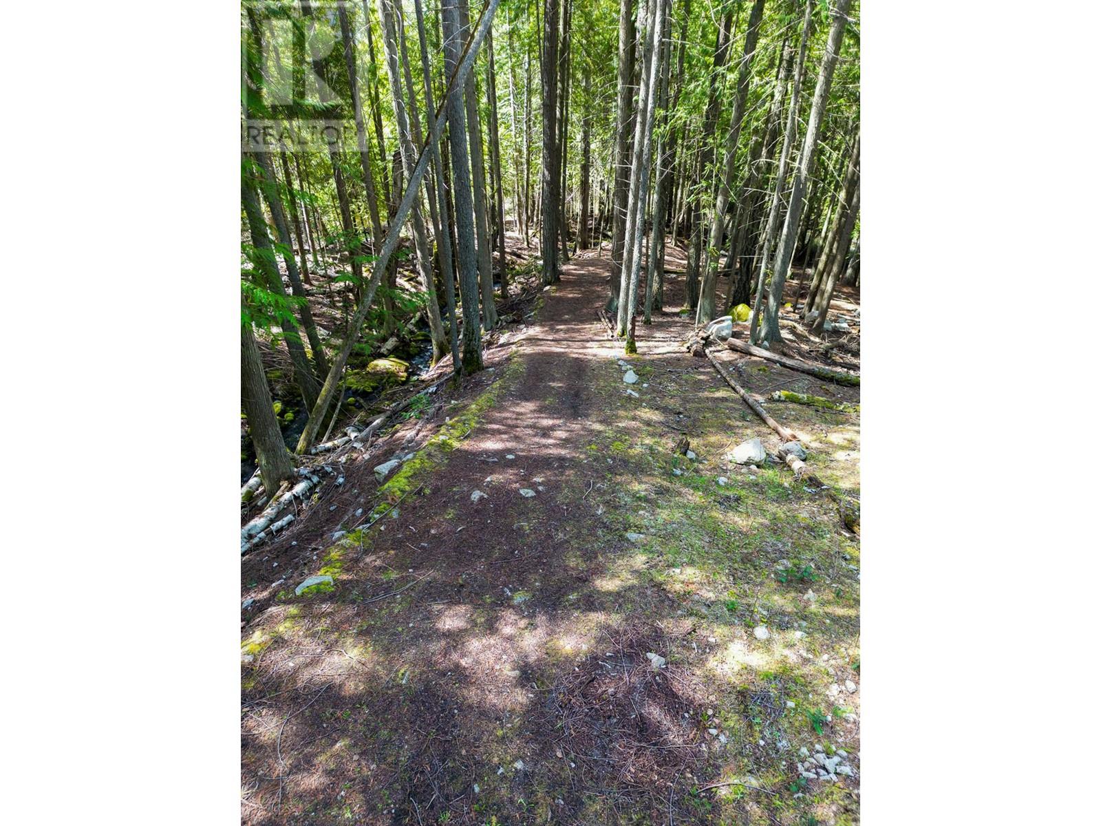 11110 3a Highway, Sanca, British Columbia  V0B 1A2 - Photo 49 - 10342560