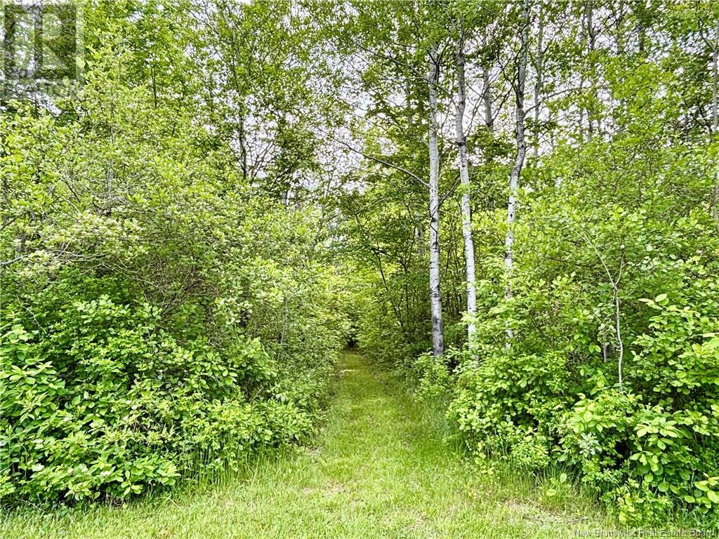 35 Augustin Sud Street, Neguac, New Brunswick  E9G 1B2 - Photo 9 - NB116123