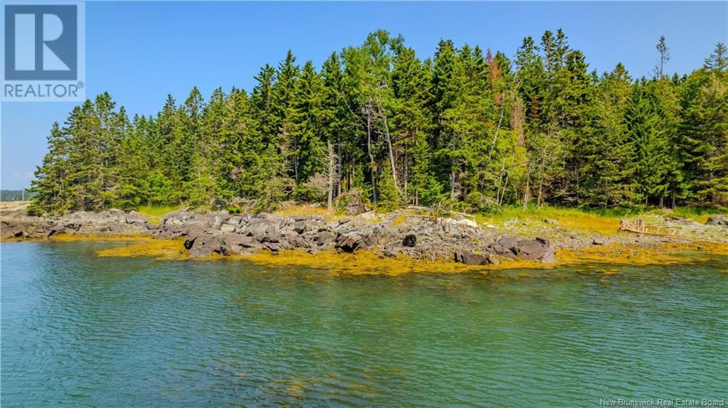 172 Route, L'etete, New Brunswick  E5C 2R4 - Photo 11 - NB116127