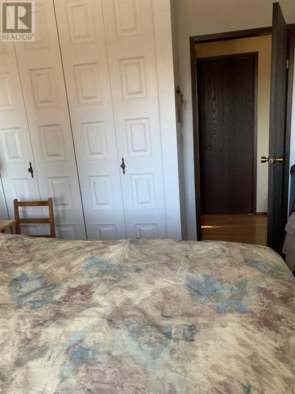 4913 Parkview Crescent, Castor, Alberta  T0C 0X0 - Photo 31 - A2206099