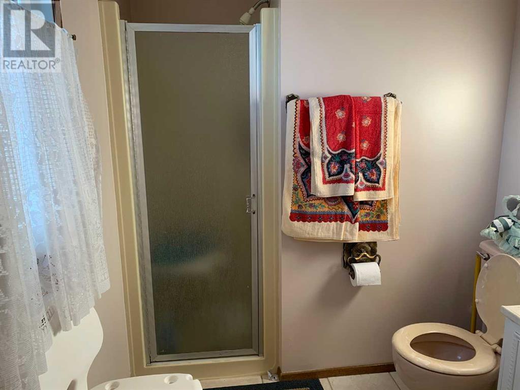 4913 Parkview Crescent, Castor, Alberta  T0C 0X0 - Photo 25 - A2206099