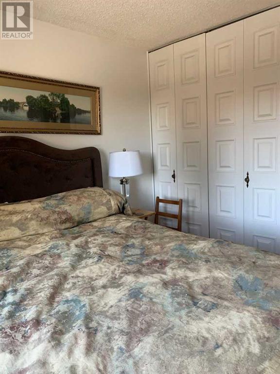 4913 Parkview Crescent, Castor, Alberta  T0C 0X0 - Photo 30 - A2206099