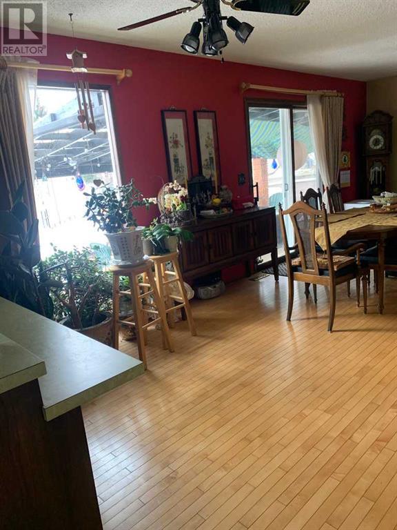 4913 Parkview Crescent, Castor, Alberta  T0C 0X0 - Photo 19 - A2206099