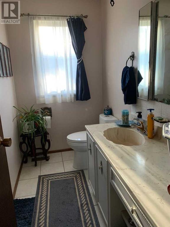 4913 Parkview Crescent, Castor, Alberta  T0C 0X0 - Photo 32 - A2206099