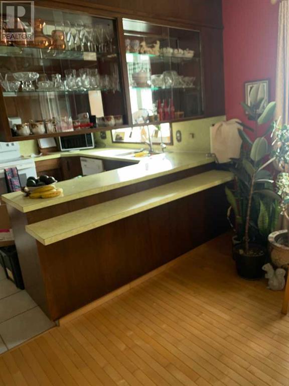 4913 Parkview Crescent, Castor, Alberta  T0C 0X0 - Photo 17 - A2206099