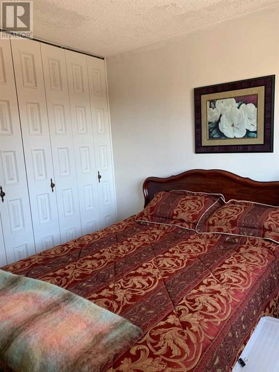 4913 Parkview Crescent, Castor, Alberta  T0C 0X0 - Photo 36 - A2206099