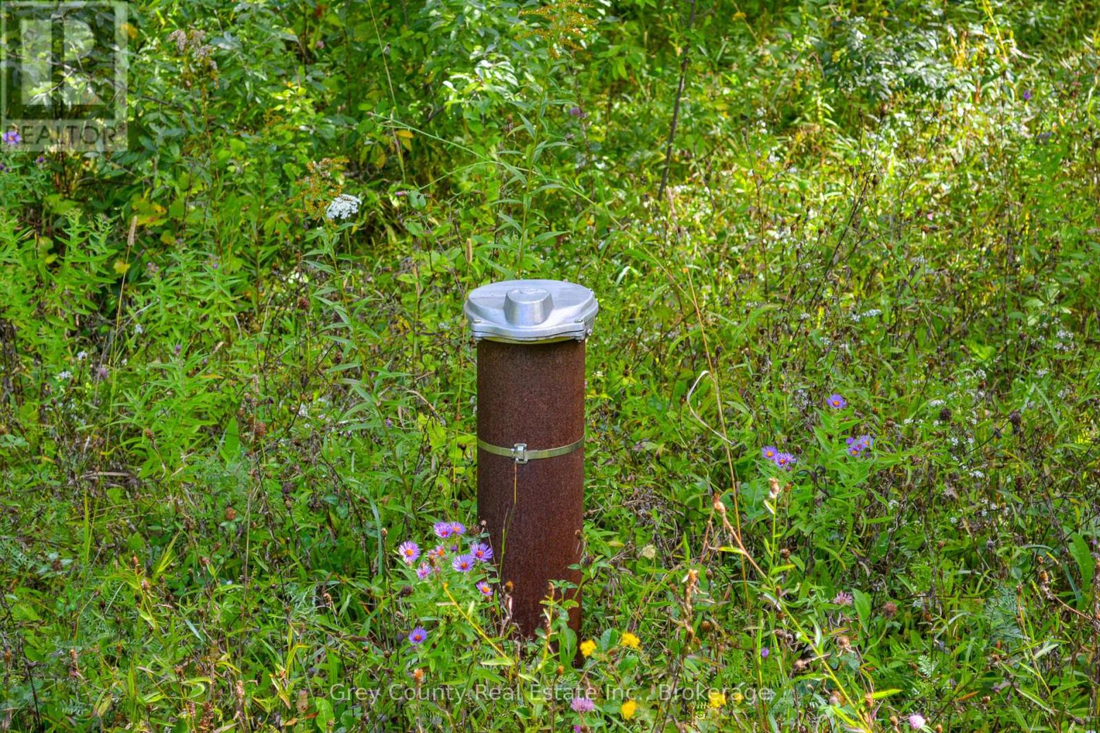 396436 Concession 2, Chatsworth, Ontario  N0H 1G0 - Photo 13 - X12074549