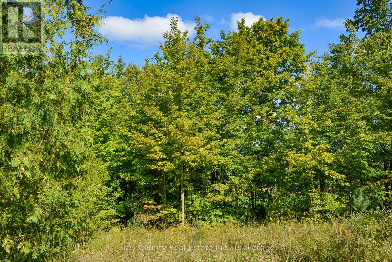 396436 Concession 2, Chatsworth, Ontario  N0H 1G0 - Photo 16 - X12074549