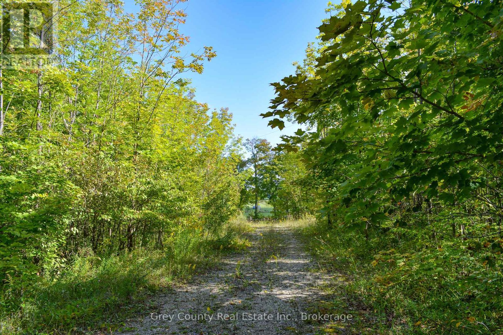 396436 Concession 2, Chatsworth, Ontario  N0H 1G0 - Photo 20 - X12074549