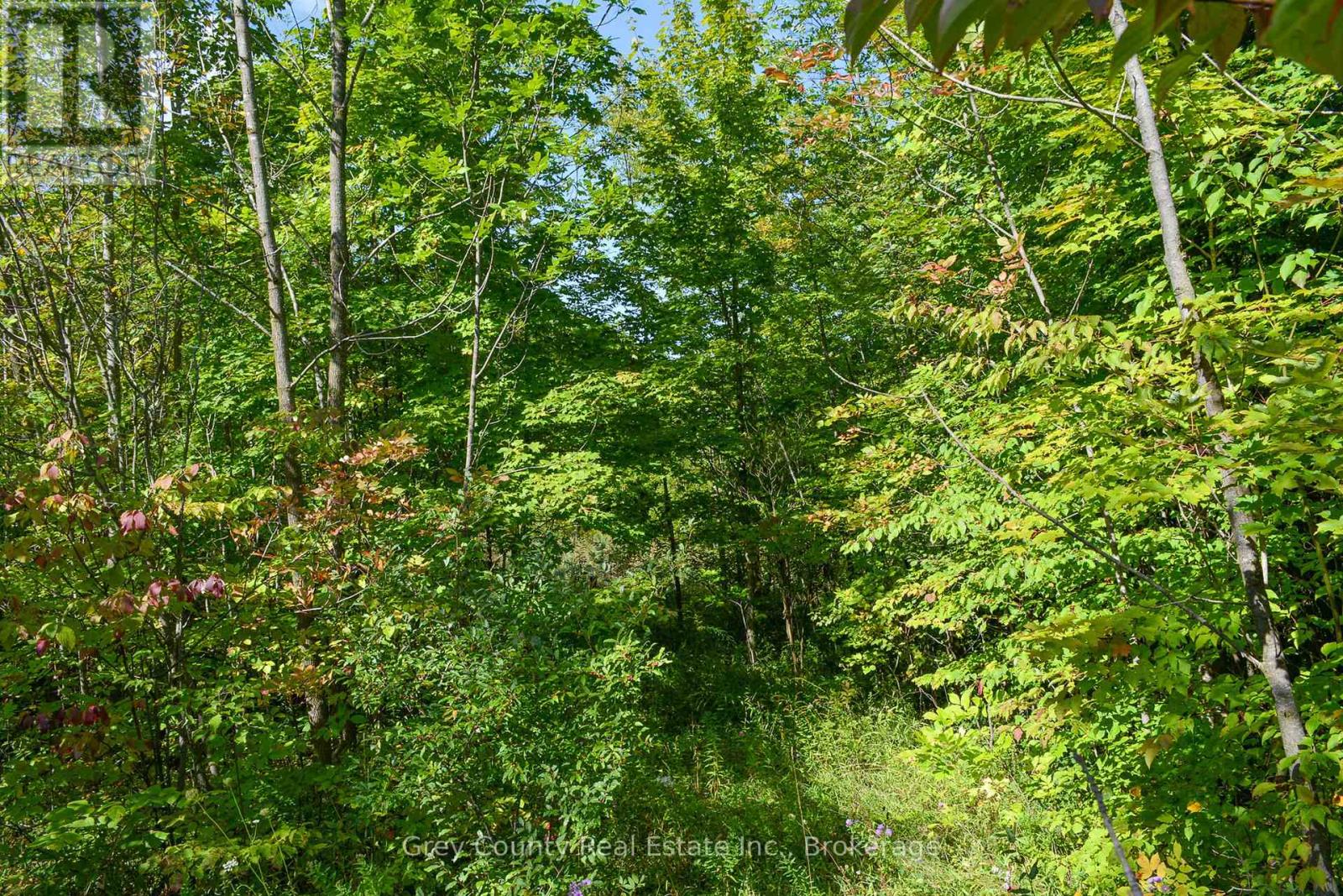 396436 Concession 2, Chatsworth, Ontario  N0H 1G0 - Photo 21 - X12074549