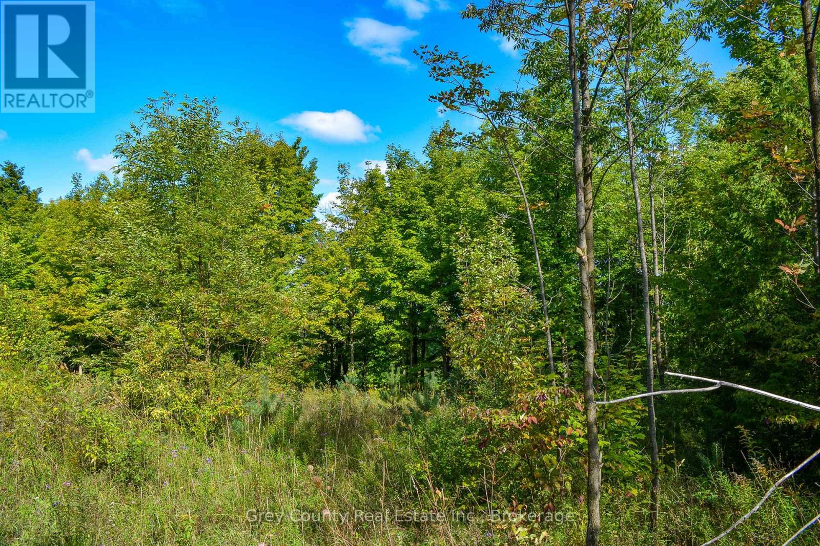 396436 Concession 2, Chatsworth, Ontario  N0H 1G0 - Photo 22 - X12074549