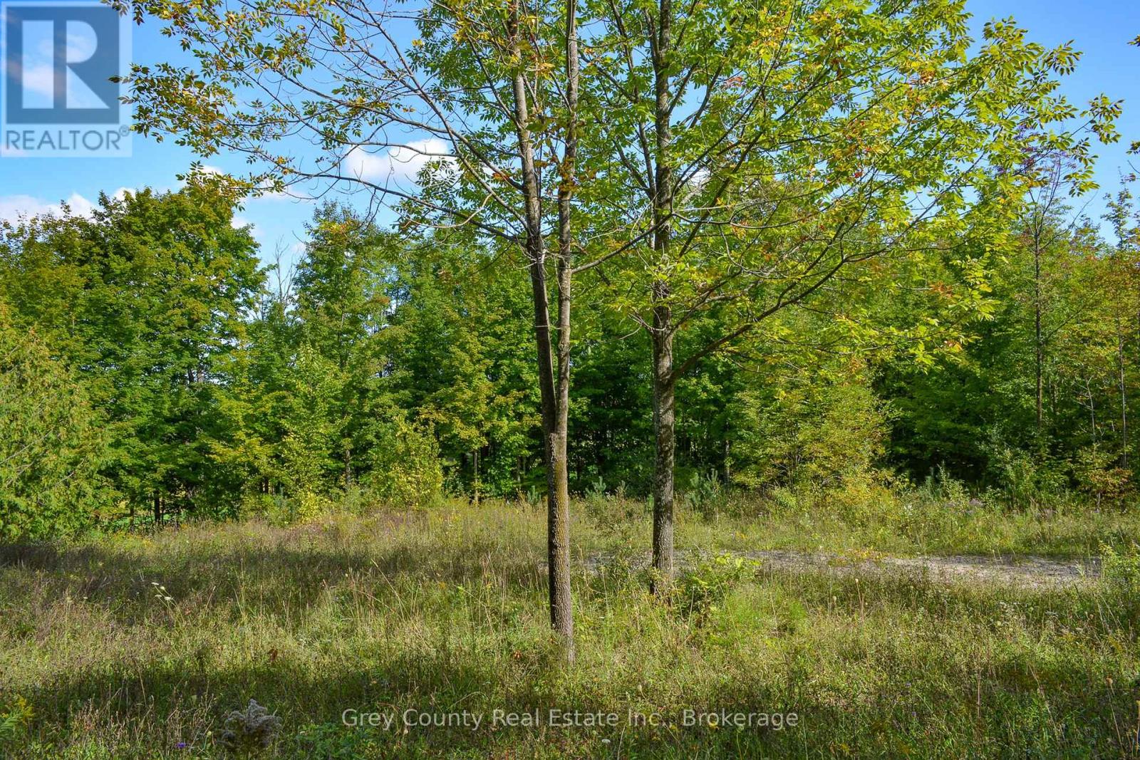396436 Concession 2, Chatsworth, Ontario  N0H 1G0 - Photo 23 - X12074549