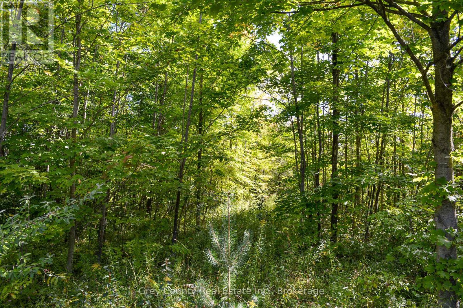 396436 Concession 2, Chatsworth, Ontario  N0H 1G0 - Photo 26 - X12074549