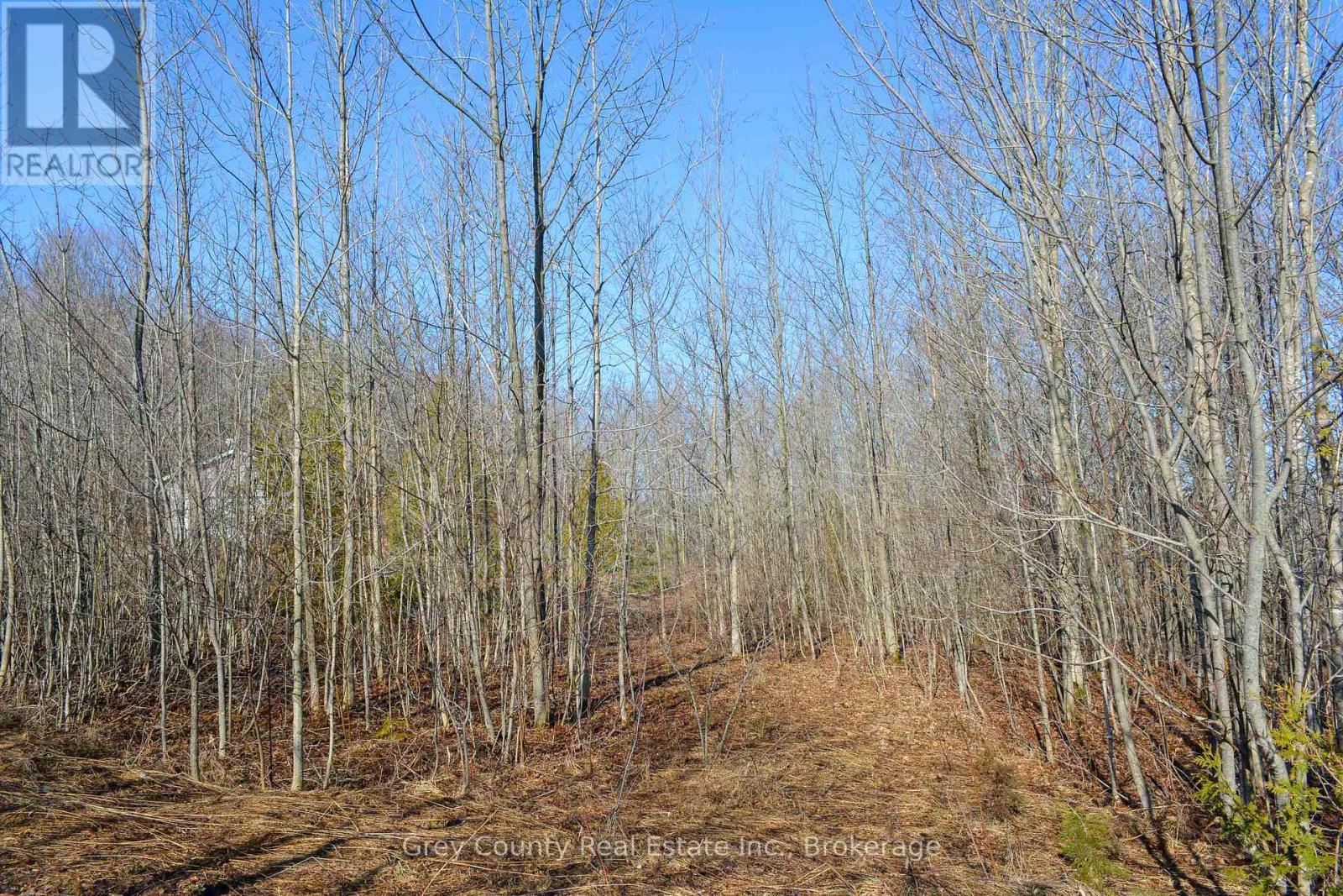 396436 Concession 2, Chatsworth, Ontario  N0H 1G0 - Photo 5 - X12074549