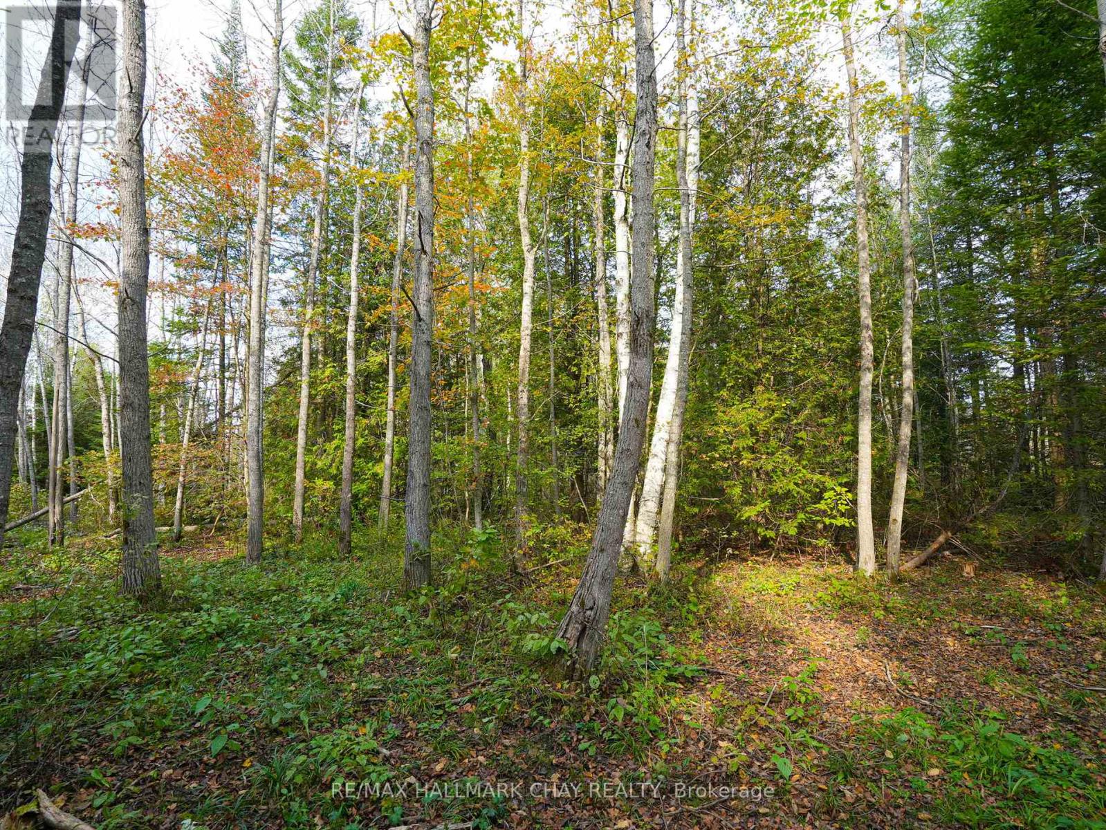 793510 Grey Road 124 Road, Grey Highlands, Ontario  N0C 1M0 - Photo 10 - X12077247