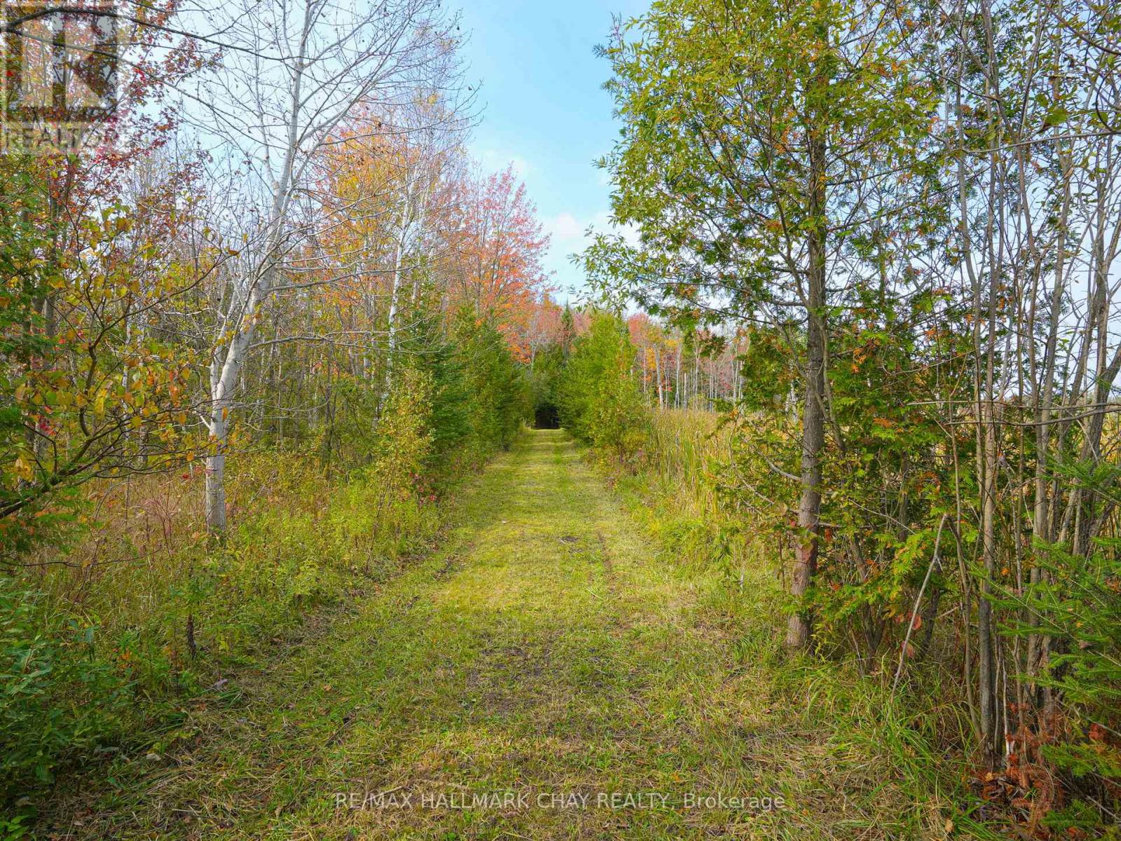 793510 Grey Road 124 Road, Grey Highlands, Ontario  N0C 1M0 - Photo 11 - X12077247