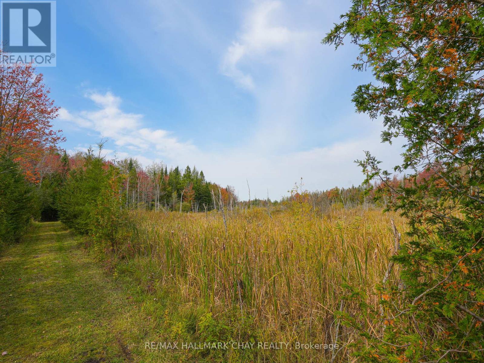 793510 Grey Road 124 Road, Grey Highlands, Ontario  N0C 1M0 - Photo 12 - X12077247