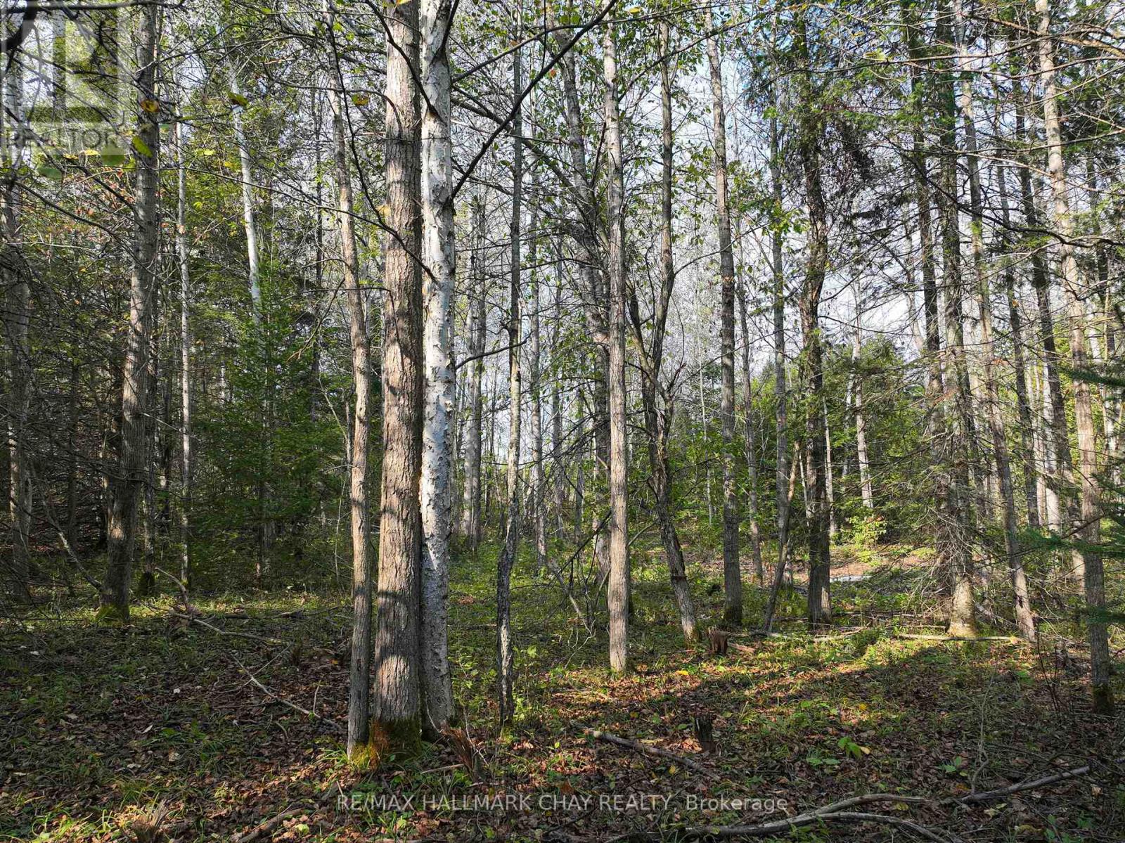 793510 Grey Road 124 Road, Grey Highlands, Ontario  N0C 1M0 - Photo 14 - X12077247