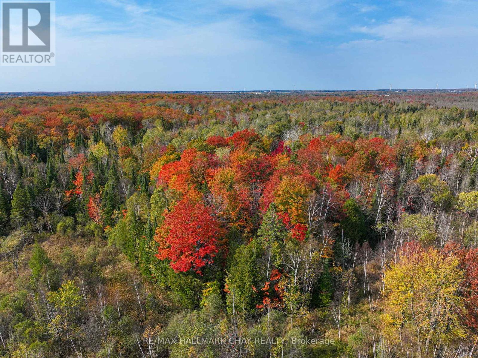793510 Grey Road 124 Road, Grey Highlands, Ontario  N0C 1M0 - Photo 19 - X12077247
