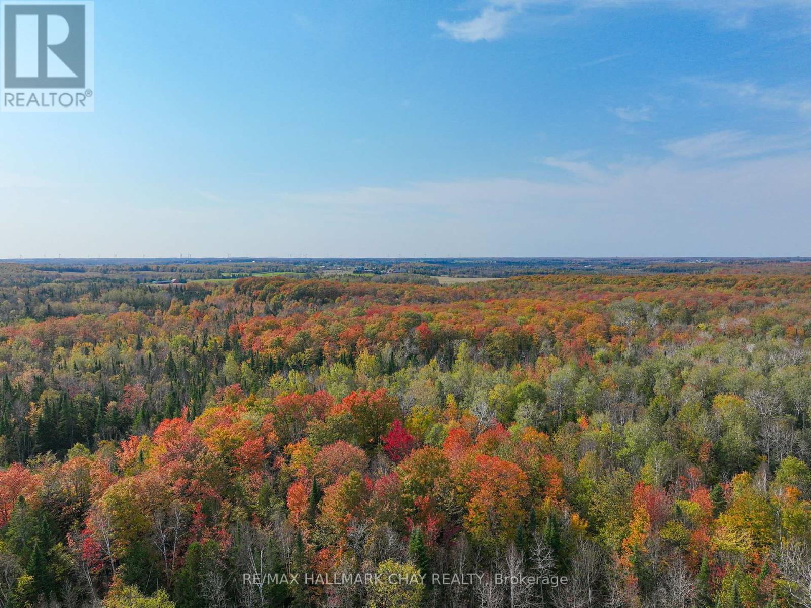 793510 Grey Road 124 Road, Grey Highlands, Ontario  N0C 1M0 - Photo 20 - X12077247