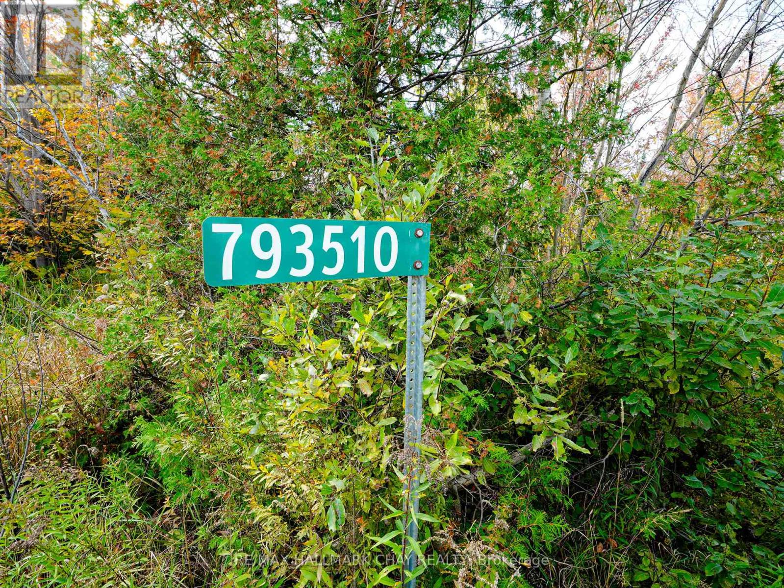 793510 Grey Road 124 Road, Grey Highlands, Ontario  N0C 1M0 - Photo 6 - X12077247