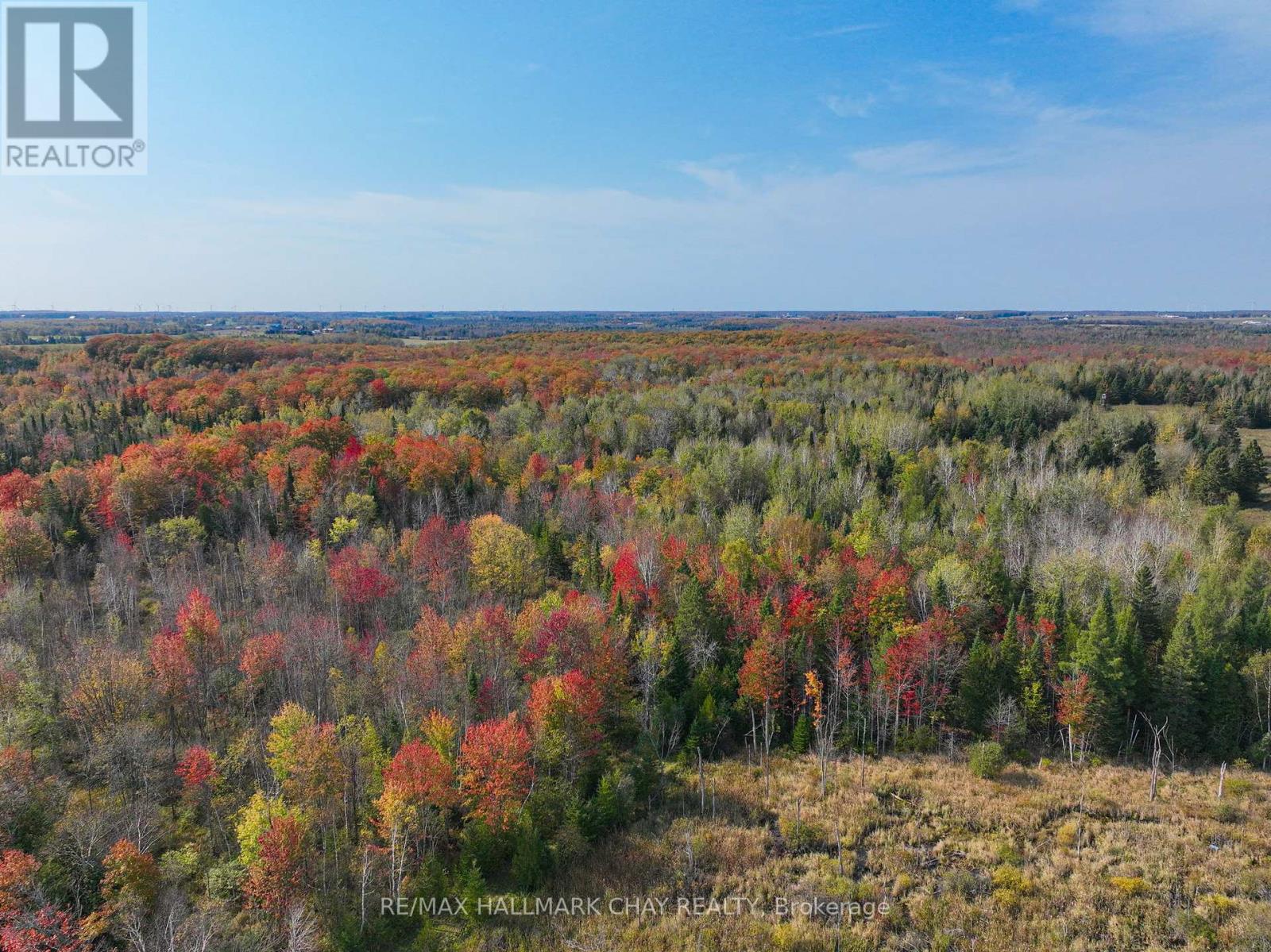 793510 Grey Road 124 Road, Grey Highlands, Ontario  N0C 1M0 - Photo 9 - X12077247