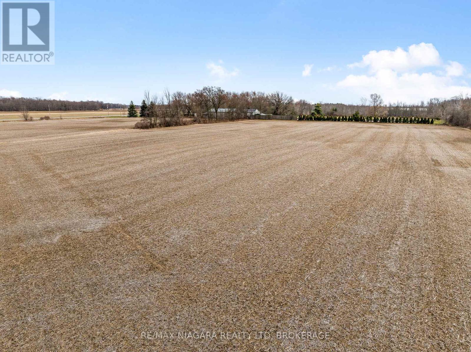 52096 Regional Road 24, Wainfleet, Ontario  L0S 1V0 - Photo 11 - X12077342