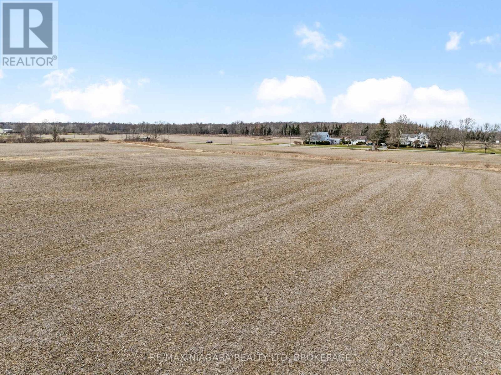 52096 Regional Road 24, Wainfleet, Ontario  L0S 1V0 - Photo 12 - X12077342