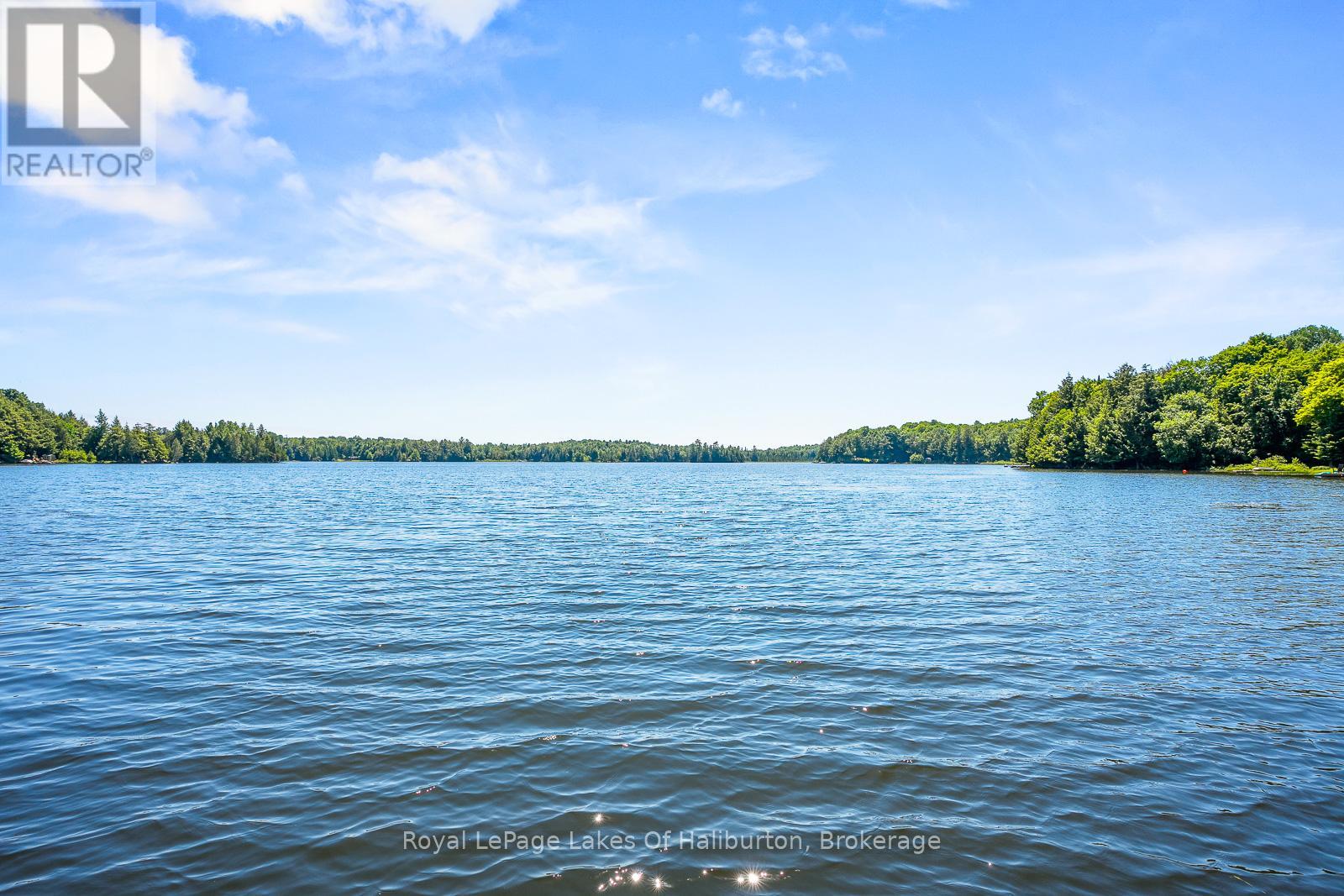 1047 Balmoral Lane, Highlands East, Ontario  K0M 1R0 - Photo 13 - X12025581