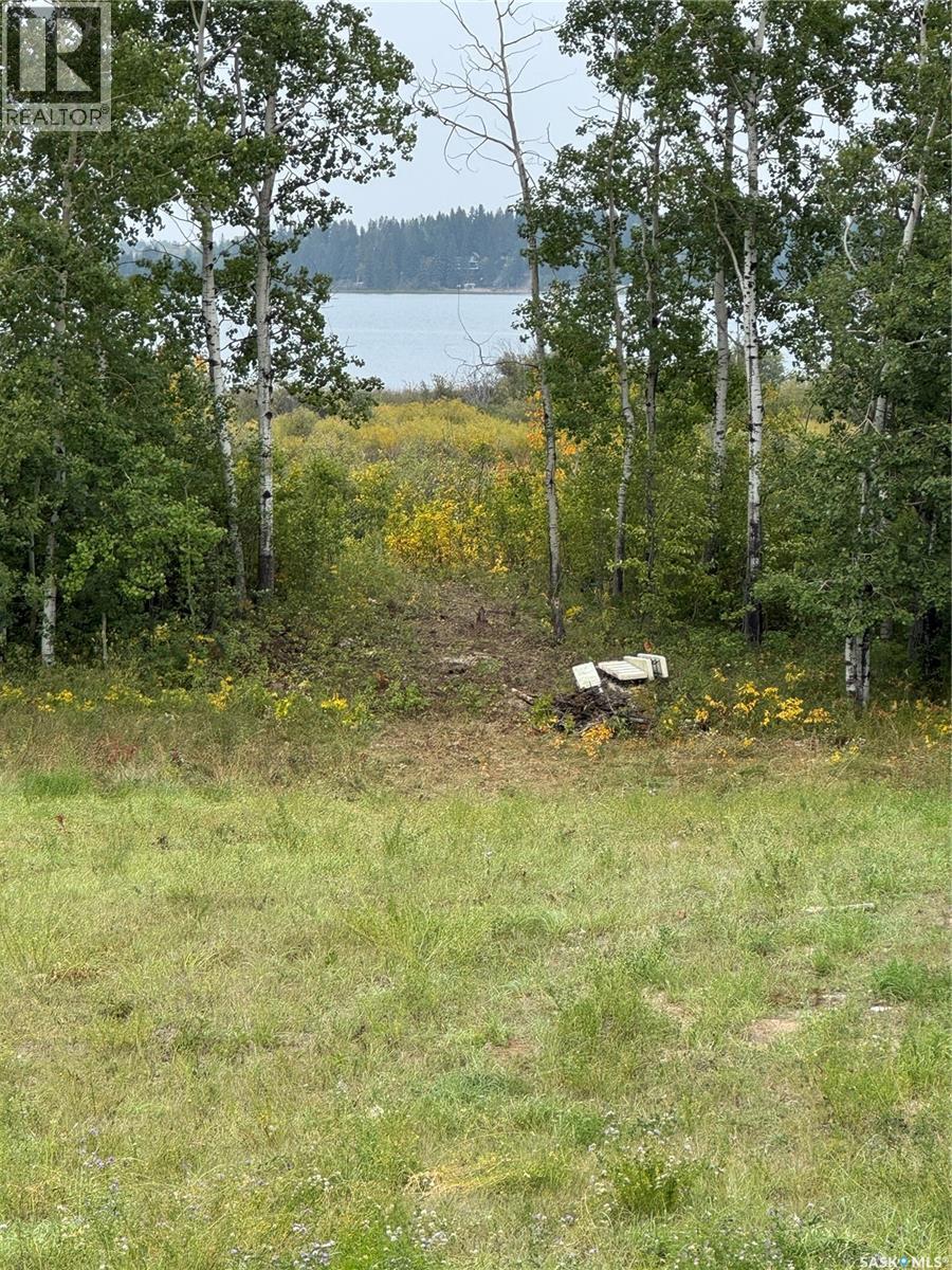 313 Ravine Road, Big Shell, Saskatchewan  S0J 2G0 - Photo 2 - SK002437
