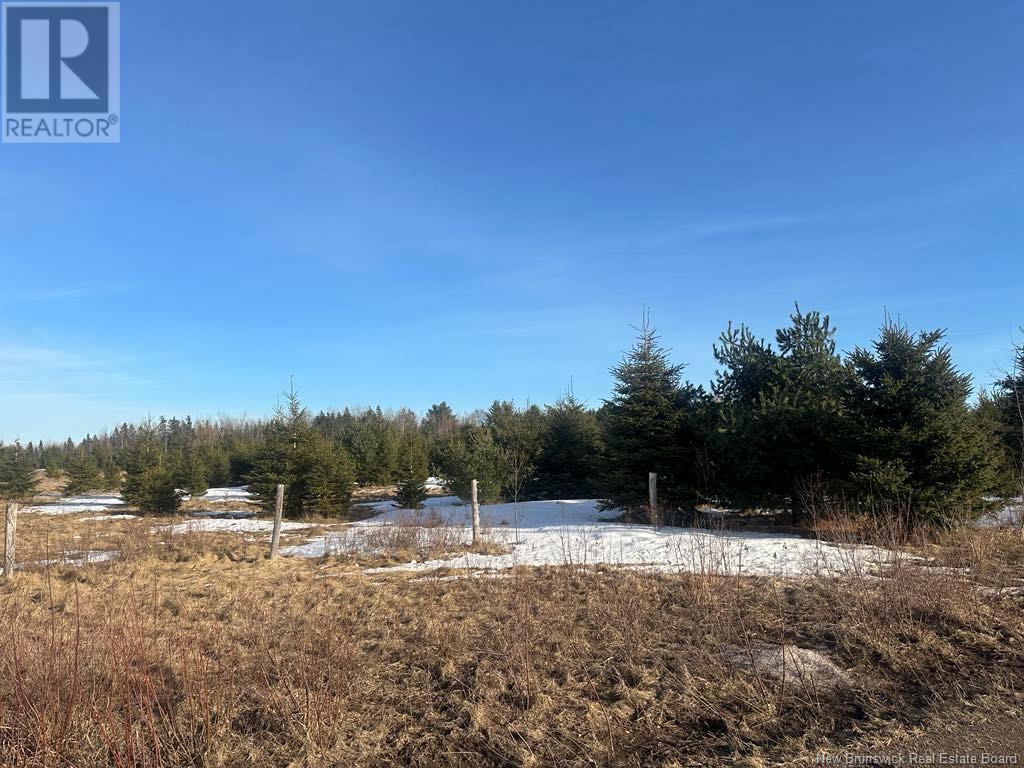 Property at 202 Keswick Road image 1