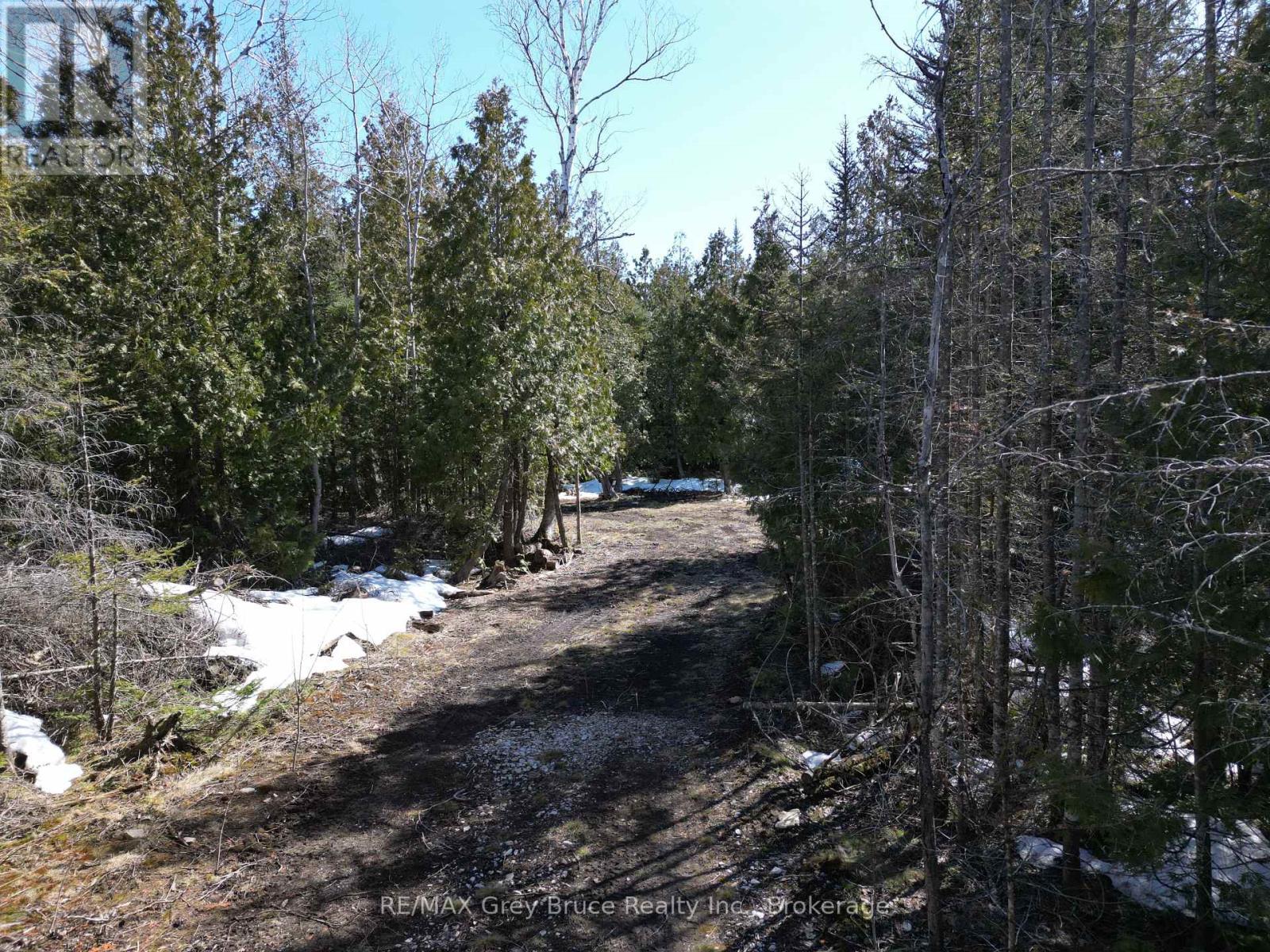 31 Baise Avenue, Northern Bruce Peninsula, Ontario  N0H 2R0 - Photo 11 - X12077456
