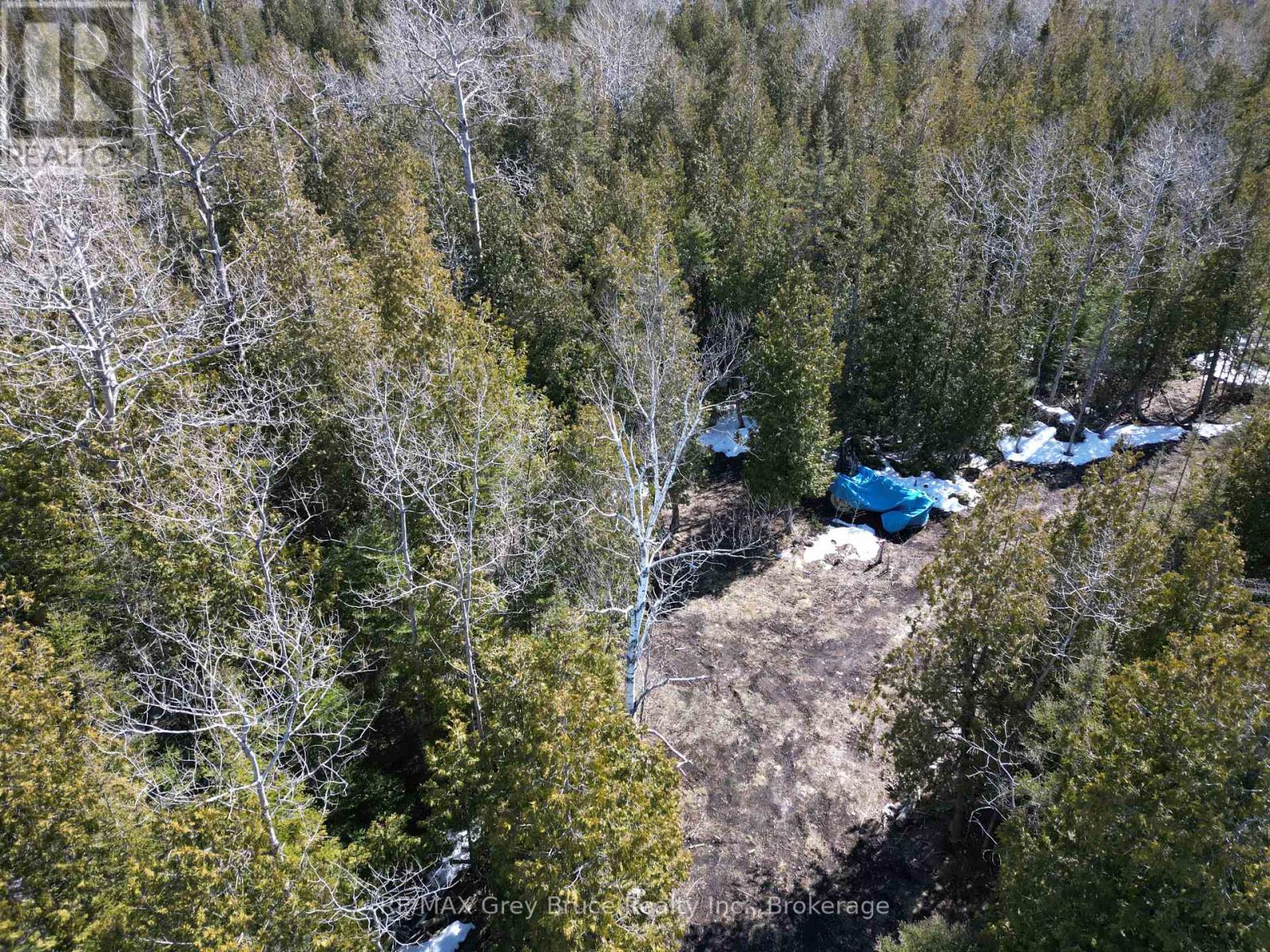 31 Baise Avenue, Northern Bruce Peninsula, Ontario  N0H 2R0 - Photo 12 - X12077456