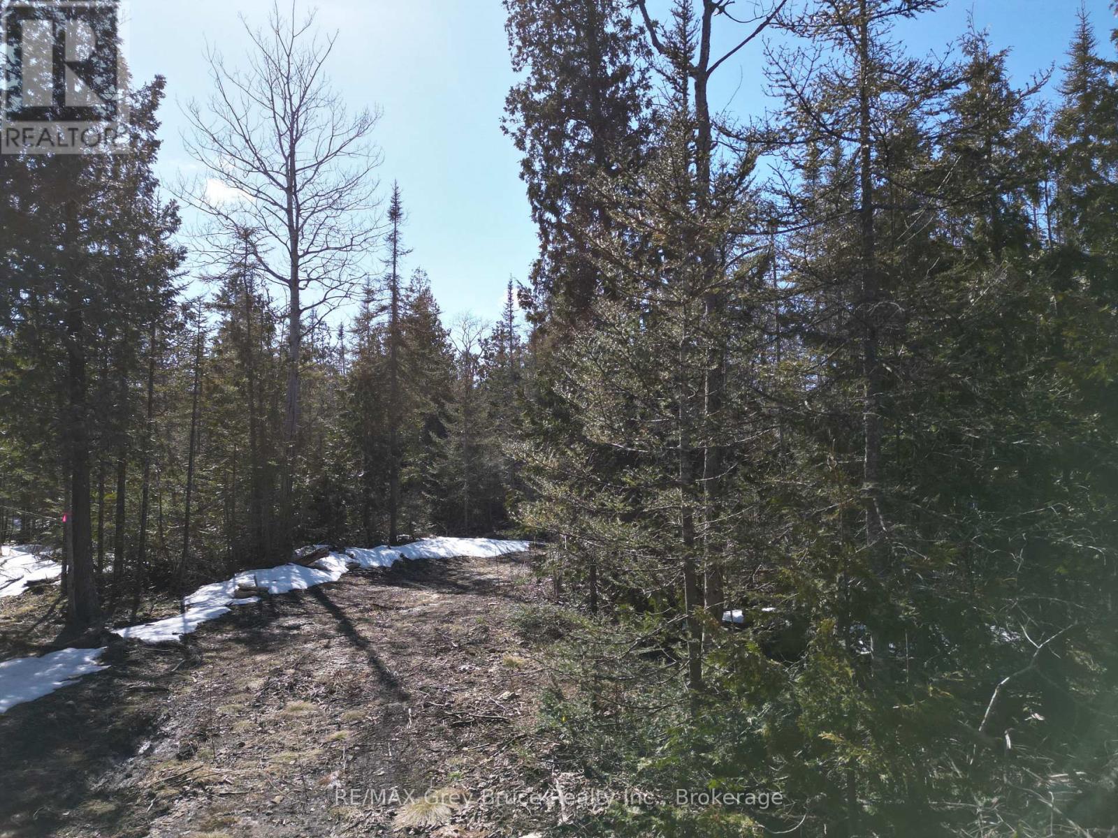 31 Baise Avenue, Northern Bruce Peninsula, Ontario  N0H 2R0 - Photo 13 - X12077456
