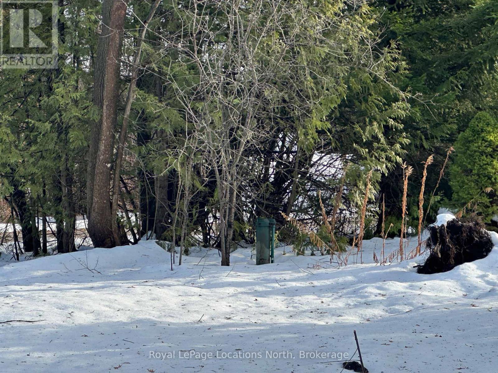 236 Lakeshore Road S, Meaford, Ontario  N4L 0A6 - Photo 18 - X12077483