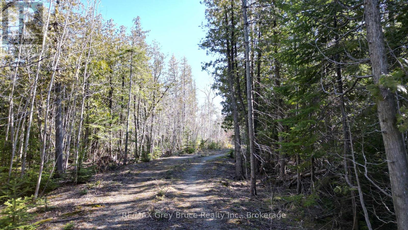 743 Spry Road, Northern Bruce Peninsula, Ontario  N0H 1W0 - Photo 24 - X12077494