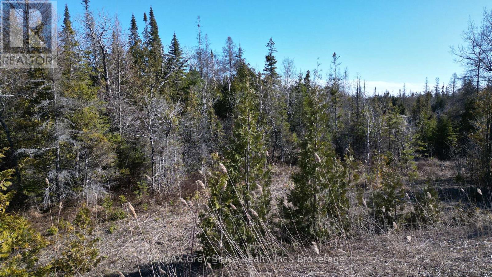 743 Spry Road, Northern Bruce Peninsula, Ontario  N0H 1W0 - Photo 30 - X12077494
