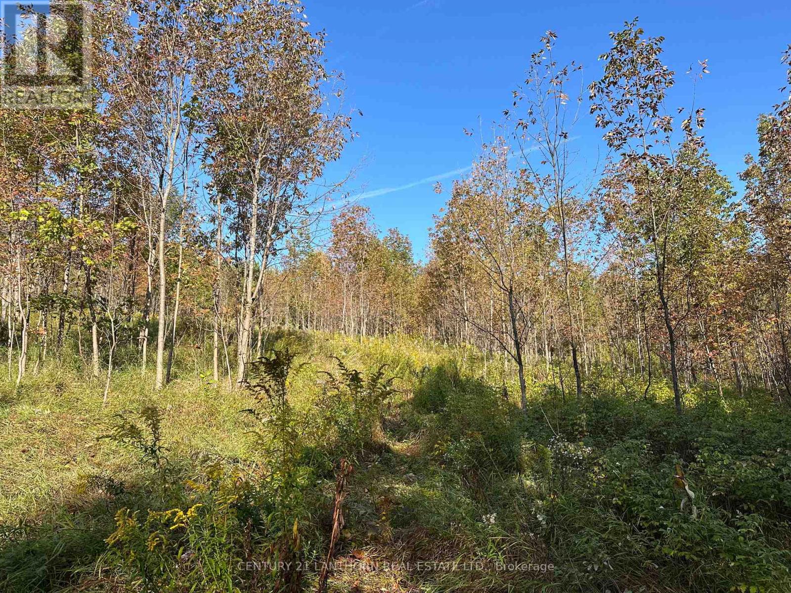 0 Bateman Road, Stirling-Rawdon, Ontario  K0K 3E0 - Photo 10 - X12077582