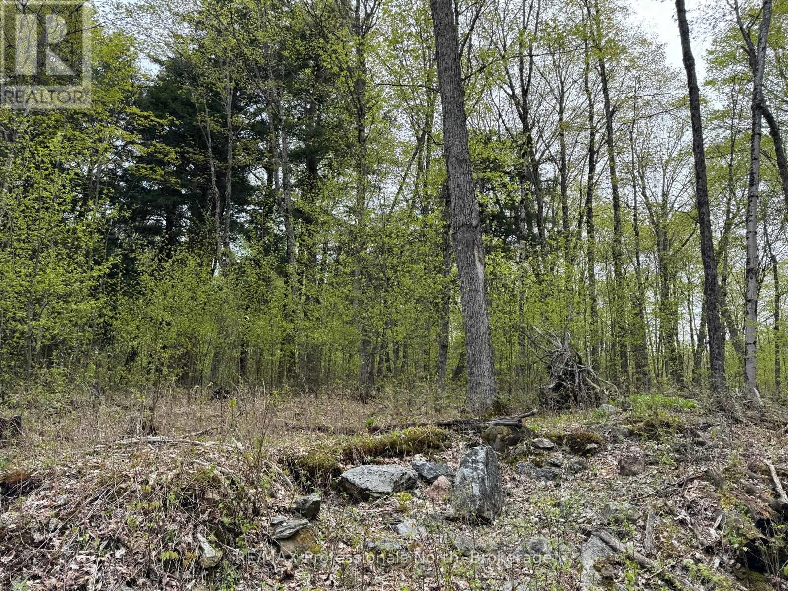 Lot 166 Glen Lake Court, Dysart Et Al, Ontario K0M 1M0 - Photo 11 - X12077717