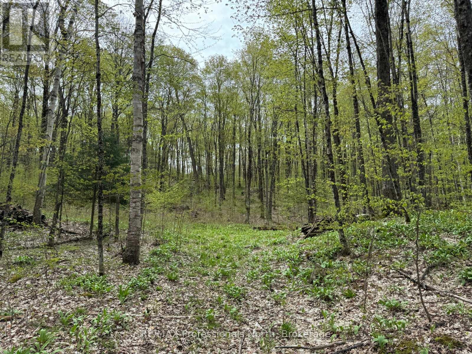 Lot 166 Glen Lake Court, Dysart Et Al, Ontario K0M 1M0 - Photo 13 - X12077717