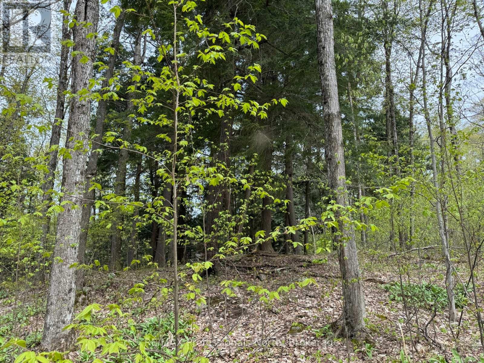 Lot 166 Glen Lake Court, Dysart Et Al, Ontario K0M 1M0 - Photo 14 - X12077717