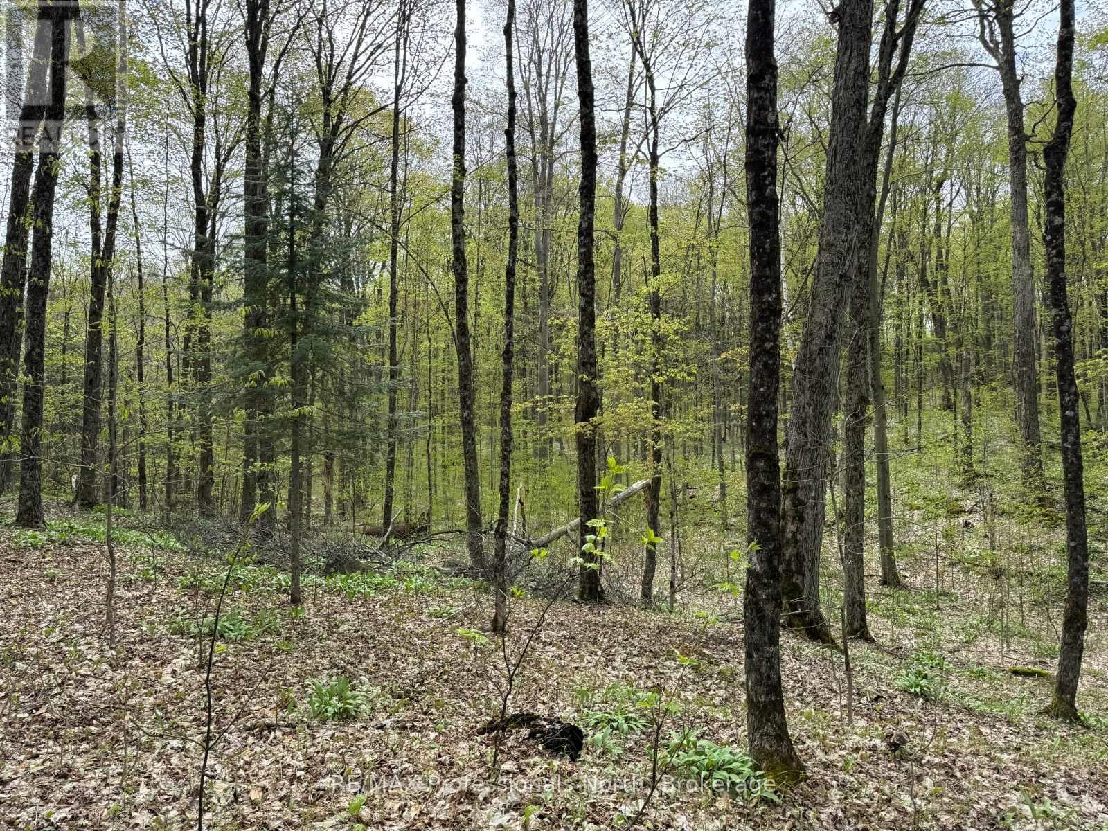 Lot 166 Glen Lake Court, Dysart Et Al, Ontario K0M 1M0 - Photo 15 - X12077717
