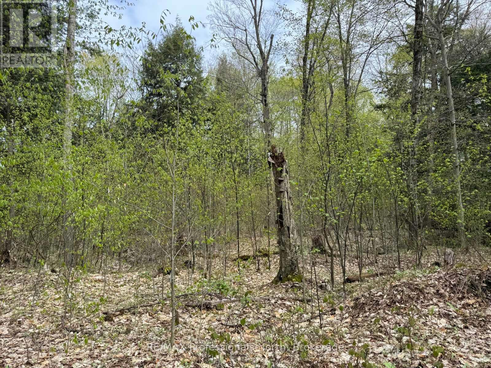 Lot 166 Glen Lake Court, Dysart Et Al, Ontario K0M 1M0 - Photo 16 - X12077717