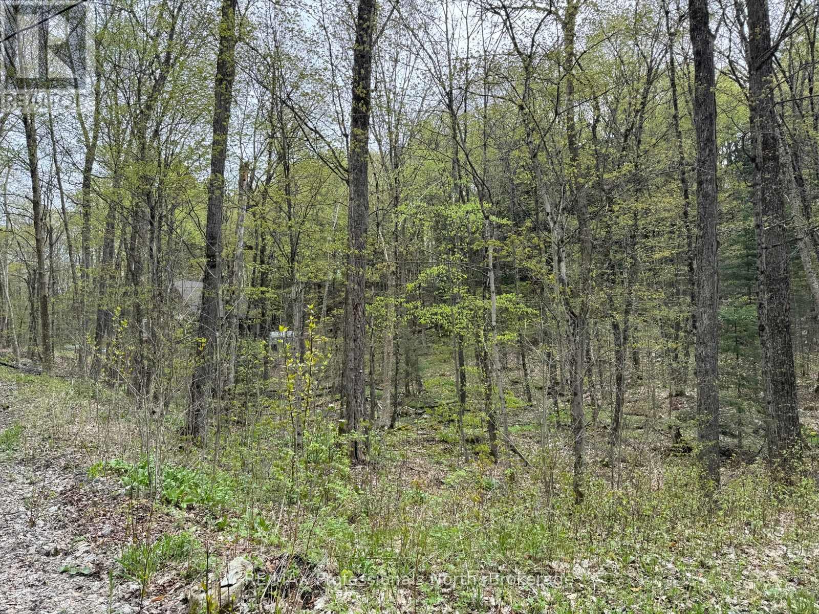 Lot 166 Glen Lake Court, Dysart Et Al, Ontario K0M 1M0 - Photo 7 - X12077717