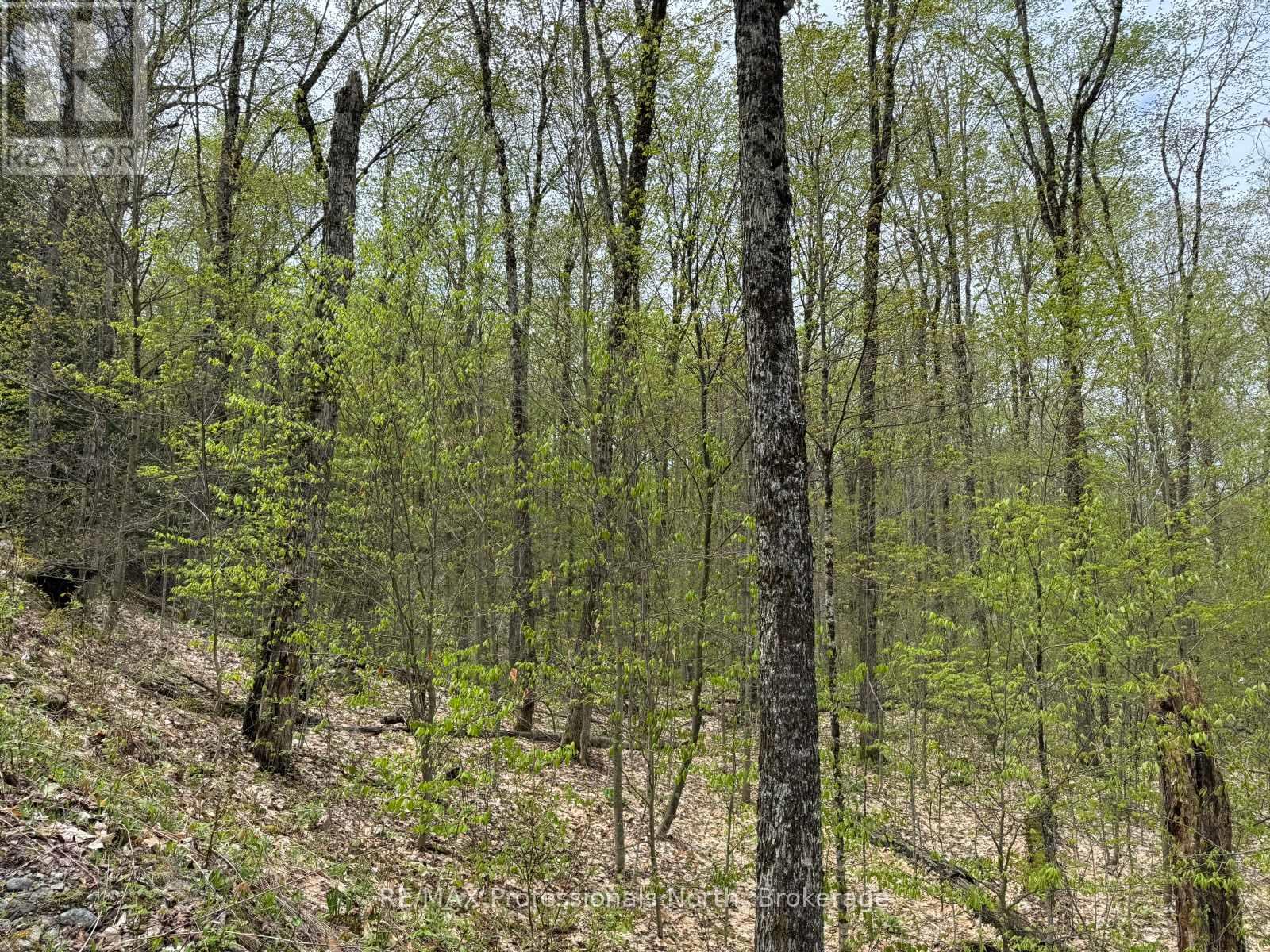 Lot 166 Glen Lake Court, Dysart Et Al, Ontario K0M 1M0 - Photo 8 - X12077717