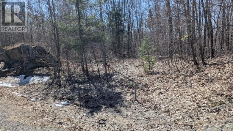 Lot 3 - 36 County Road, Rideau Lakes, Ontario  K0G 1X0 - Photo 11 - X12077693